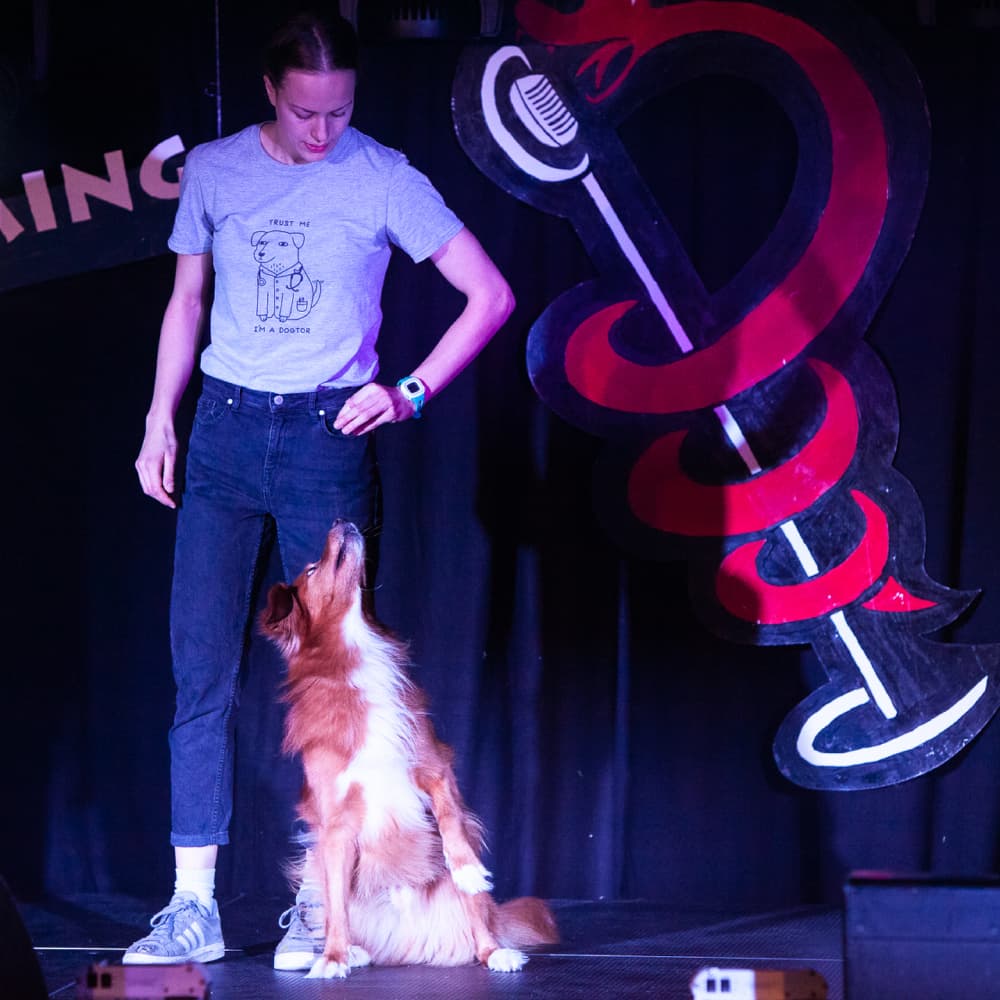 Image 4 for year 2018